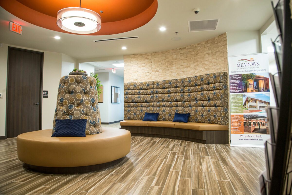 Meadows IOP Dallas
