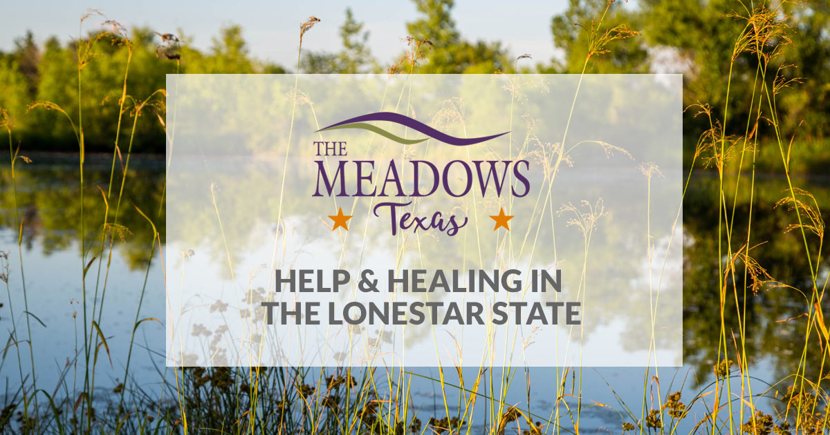 Home The Meadows Texas Princeton, TX