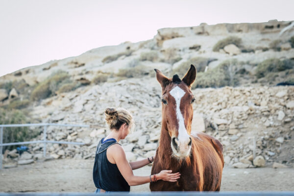 How Does Equine Therapy Work? - The Meadows Texas
