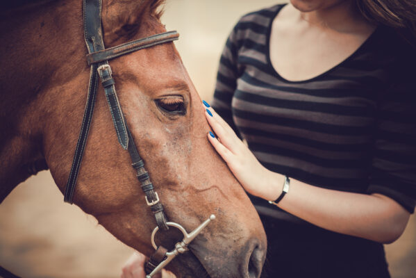 The Mental Health Benefits of Equine Therapy - The Meadows Texas
